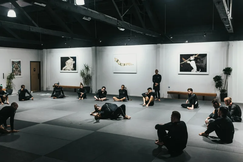 A martial arts class training on mats in a dojo.