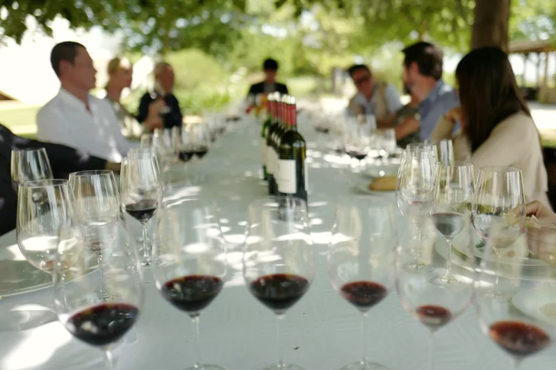Wine glasses arranged on a tasting room counter.